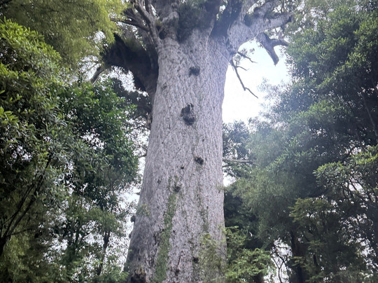 Northland Outdoor Adventures-Whangaroa必去景点