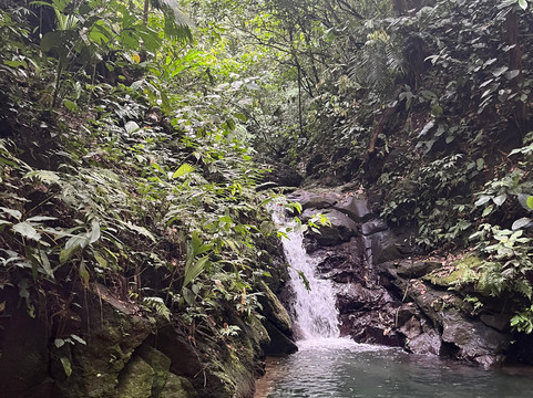 Safari Adventures-哥斯达黎加安东尼奥国家公园必去景点