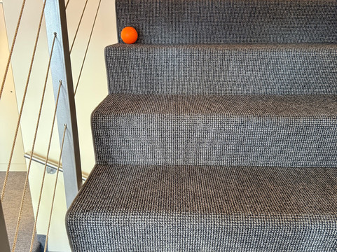 Adler Adelboden主图