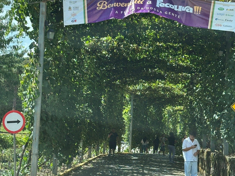 Praca Regional da Uva-Otavio Rocha必去景点