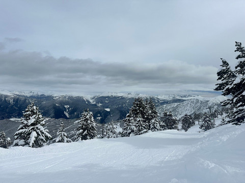 Hotel Palarine主图