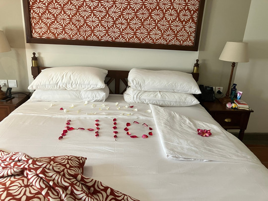 塔玛林德树酒店主图