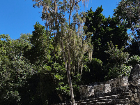 Calakmul Tours By Ezequiel-Xpujil Town必去景点