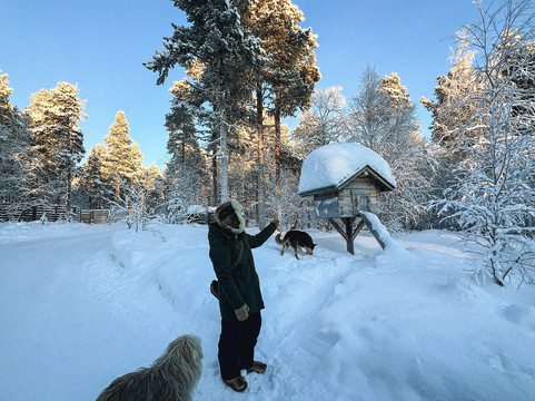 Angeli Reindeer Farm-伊纳里必去景点
