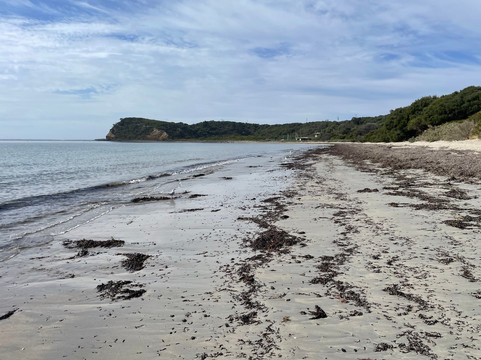 Kennon Cove Beach-弗林德斯必去景点