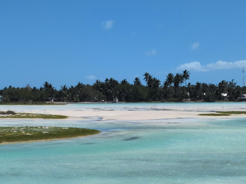 Church of the Little Flower-科勒尔盖布尔斯必去景点