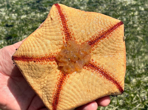 Urafiki Tours and Safari