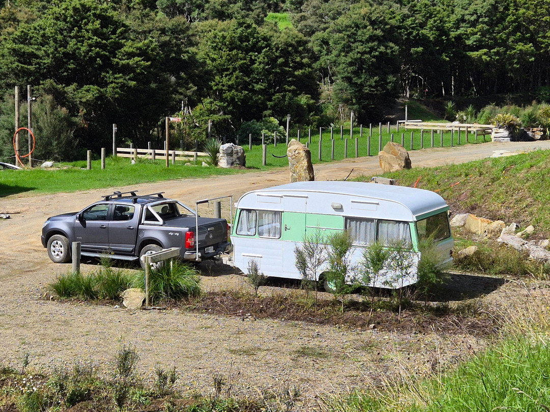 Waipu Caves Farm Park - Camping Grounds