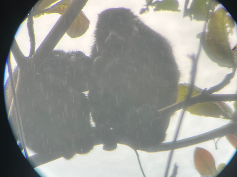 Manuel Tour Guide-卡维塔必去景点