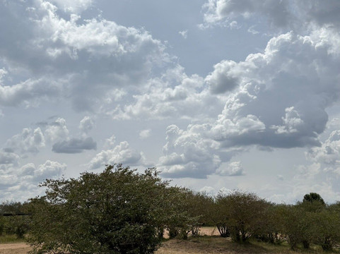 Ankole Tours and Travel.-内罗毕必去景点