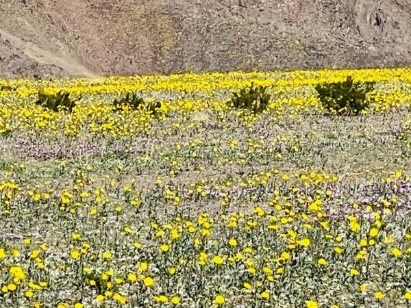 Mosaic Canyon-死亡谷国家公园必去景点