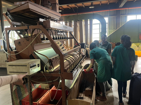 Oak Ray Tea Factory & Museum-拉马伯达必去景点