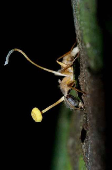 Lago Sandoval-马尔多纳多港必去景点