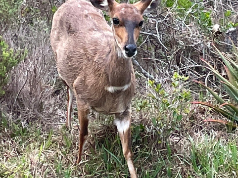 Erika27 Top B&B Choice主图