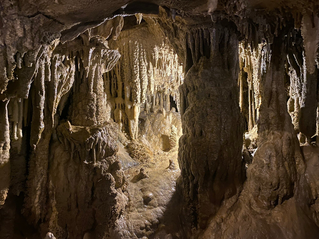Ngarua Caves-莫图伊卡必去景点