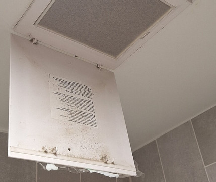 诺伊斯住宿加早餐旅馆主图