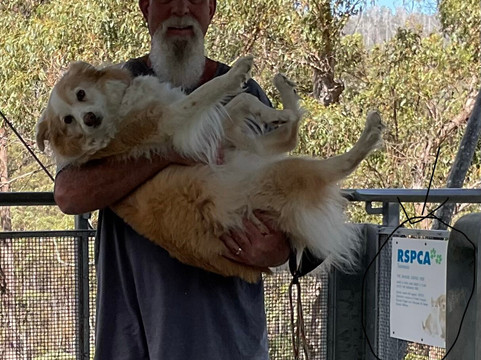 Tahune Adventures-Geeveston必去景点