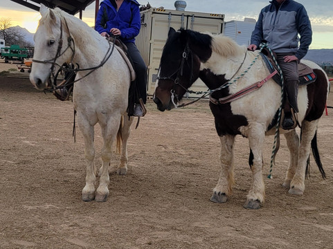 KOLI Equestrian Center-钱德勒必去景点