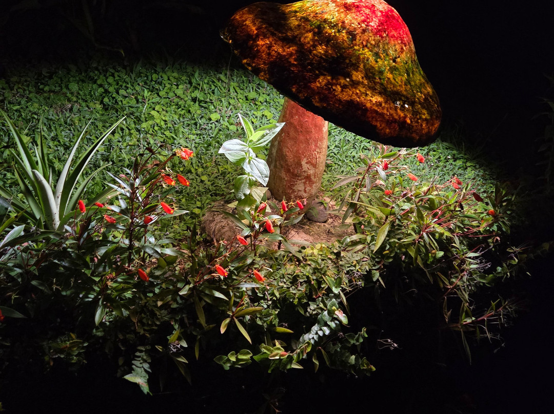 幸运巴格住宿加早餐旅馆主图