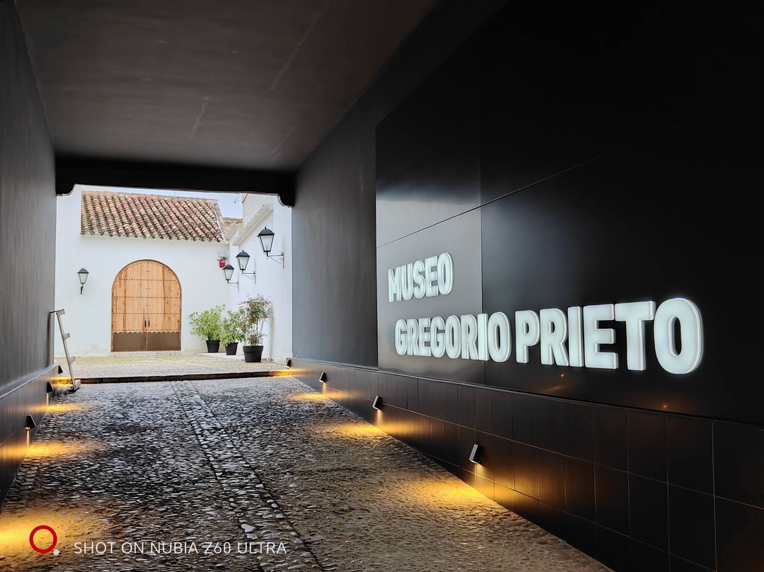Museo de La Fundacion Gregorio Prieto-Valdepenas必去景点