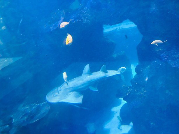 帕拉戈拉夫舍克维提利水疗度假酒店-傲途格精选-官方