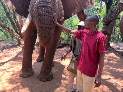 Elephant Sanctuary Hartbeesport Dam-哈特比斯普特必去景点