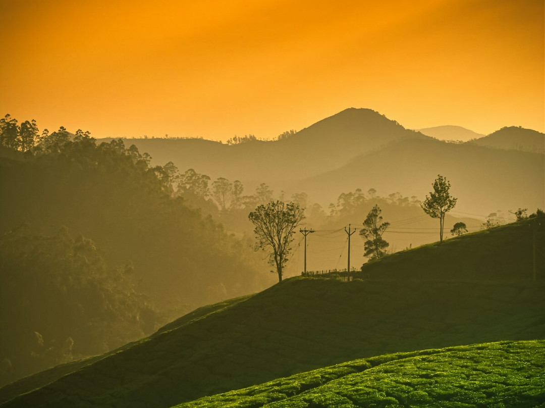 Munnar Holidays-慕那尔必去景点
