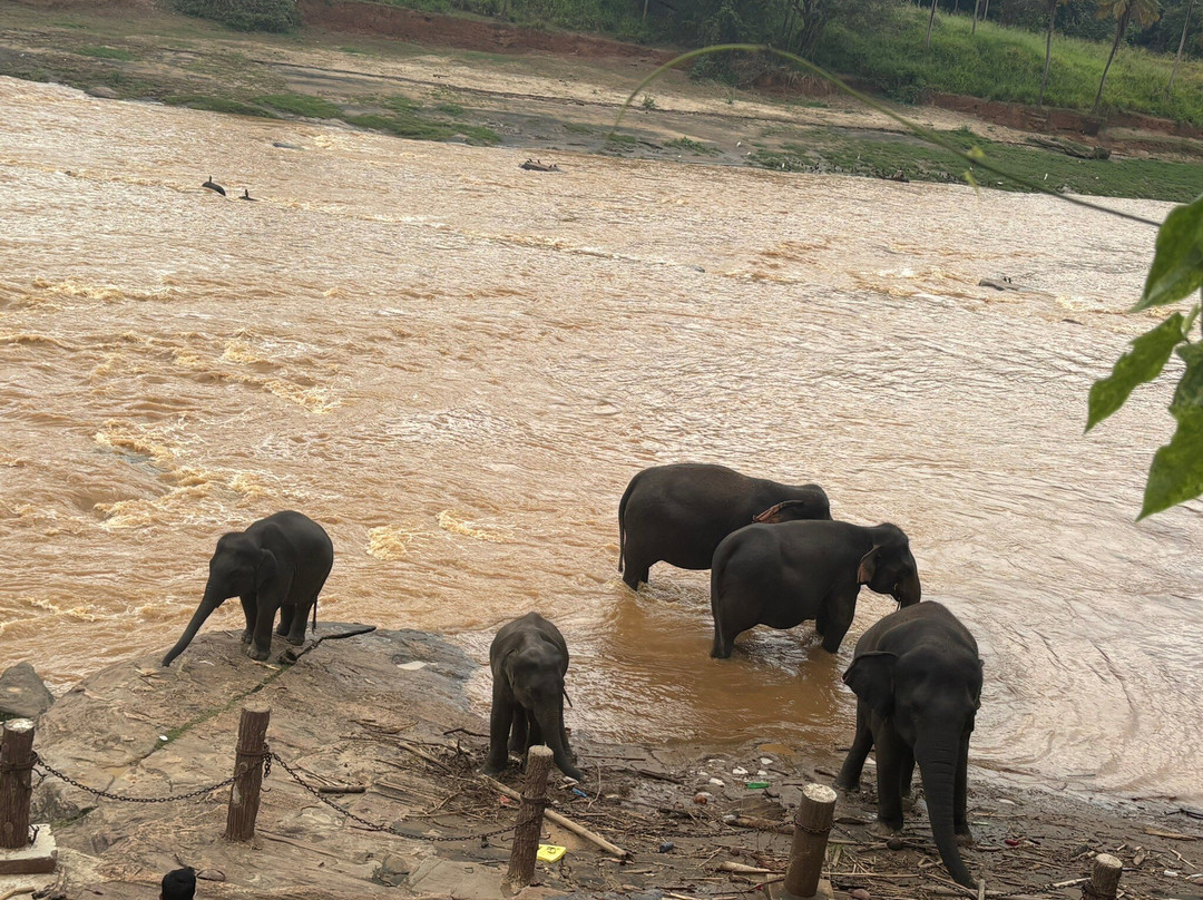 Ceylon Empire Travels-科伦坡必去景点