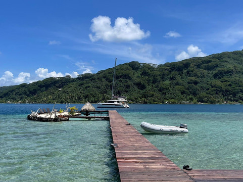 Pension Hibiscus Tahaa主图