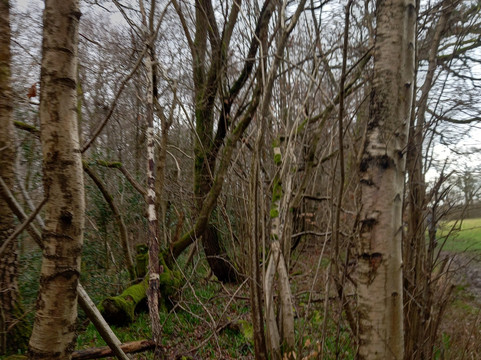The Clock Tower-艾尔斯伯里必去景点