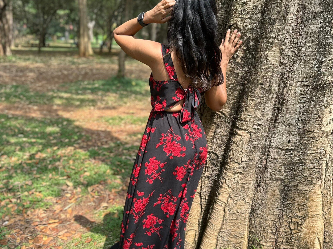 库本公园-班加罗尔必去景点