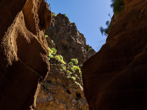 Barranco de Las Vacas-阿古伊梅斯必去景点