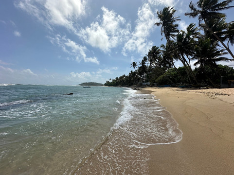 Eco Love Tours-加勒必去景点
