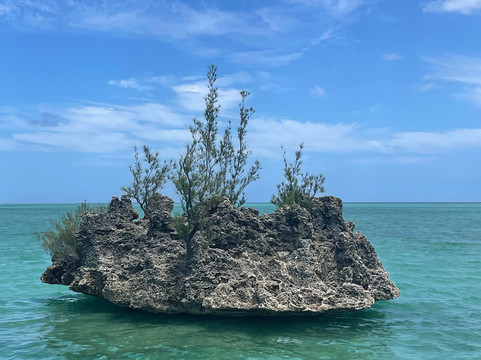 Vava Voom-巴拉克拉瓦必去景点