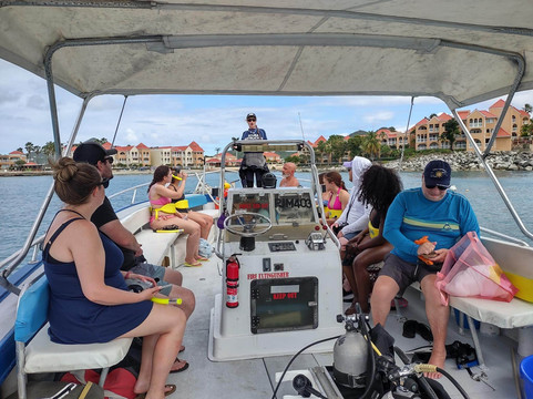 Dive Adventures-辛普森湾必去景点