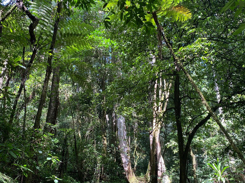 Shambaa Eco Tours-卢绍托必去景点
