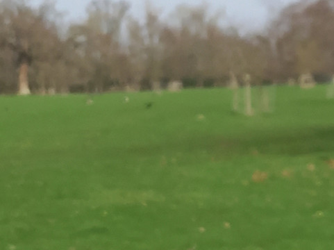 Frampton Court Estate-Frampton on Severn必去景点