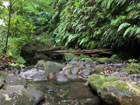 Jacko Falls-Morne Trois Pitons National Park必去景点
