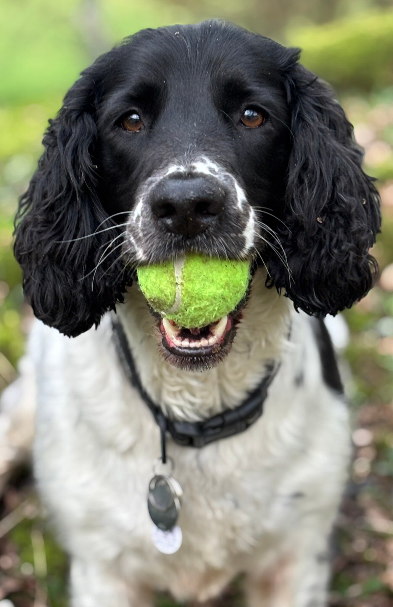 米尔恩德酒店-官方
