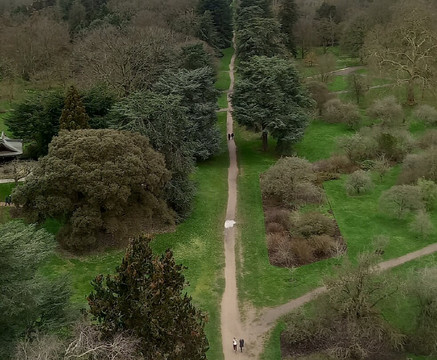 The Great Pagoda-邱园必去景点