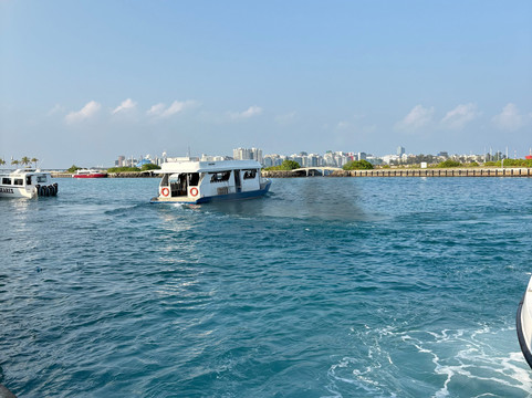 Into the Blue Lodge主图