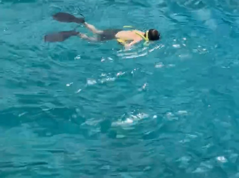 Salty Daze Charters USVI-Coral Bay必去景点