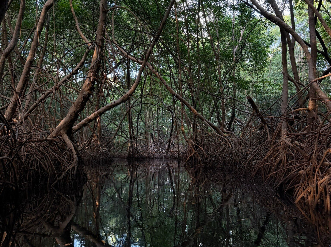 Limeland Tours-特立尼达必去景点