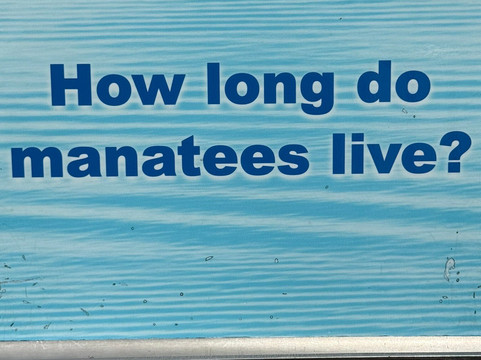 Merritt Island National Wildlife Refuge-Merritt Island必去景点