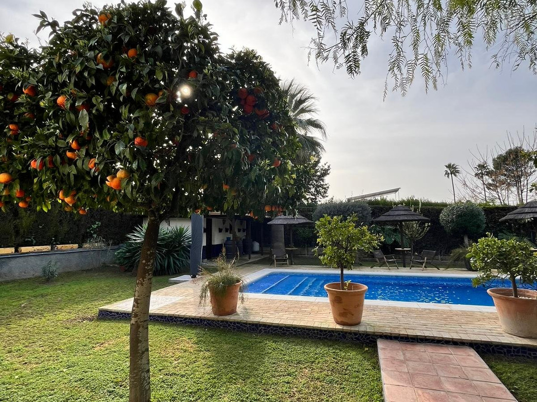 B&B Casa Adelante主图