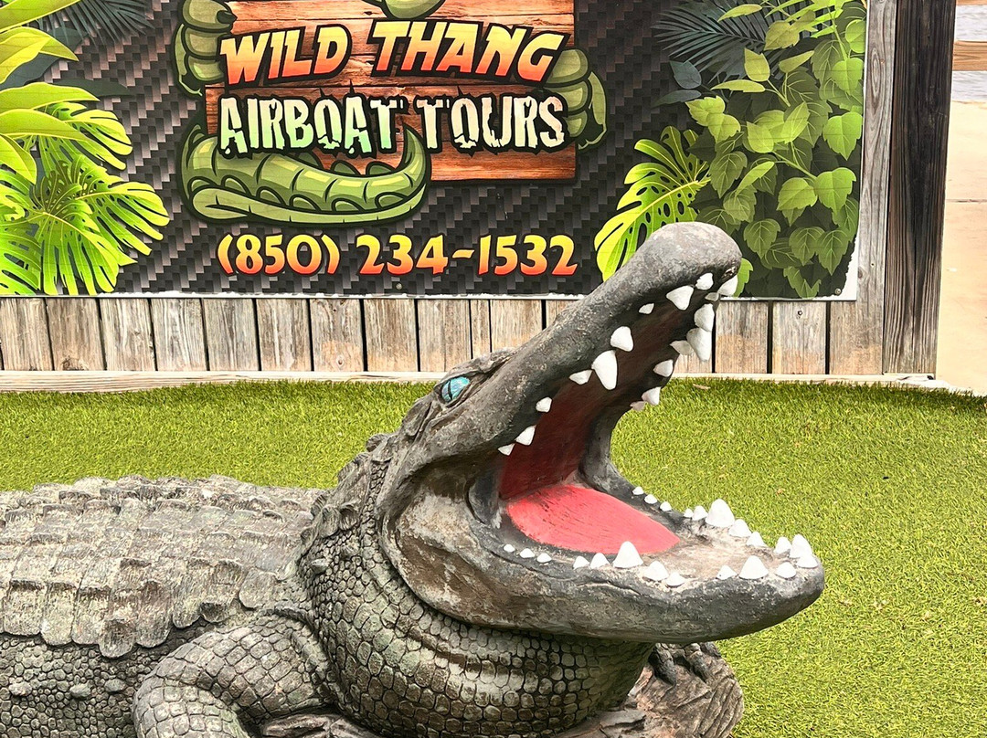 Wild Thang Airboat Tours-巴拿马城海滩必去景点