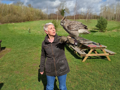 Bird on the Hand Falconry Experiences-Church Langton必去景点