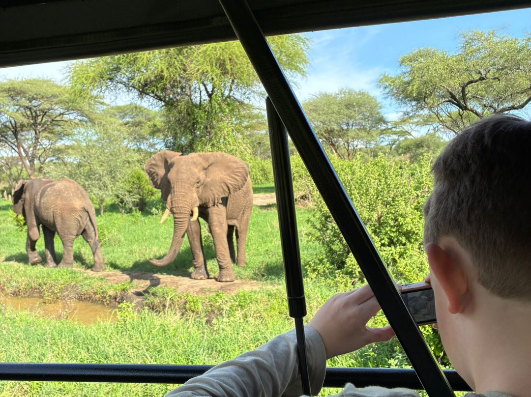 Bright Tanzania - Private climbing & Safari tours-莫西必去景点