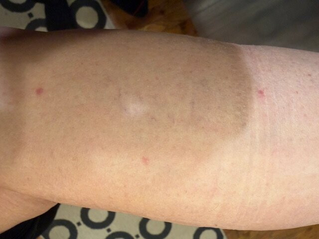 智选假日酒店-沃希斯-劳雷尔山-洲际酒店集团旗下主图