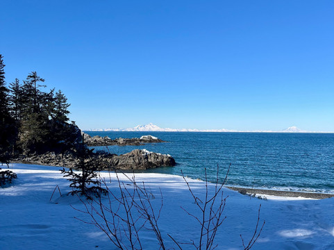 Seldovia Nature Tours-Seldovia必去景点